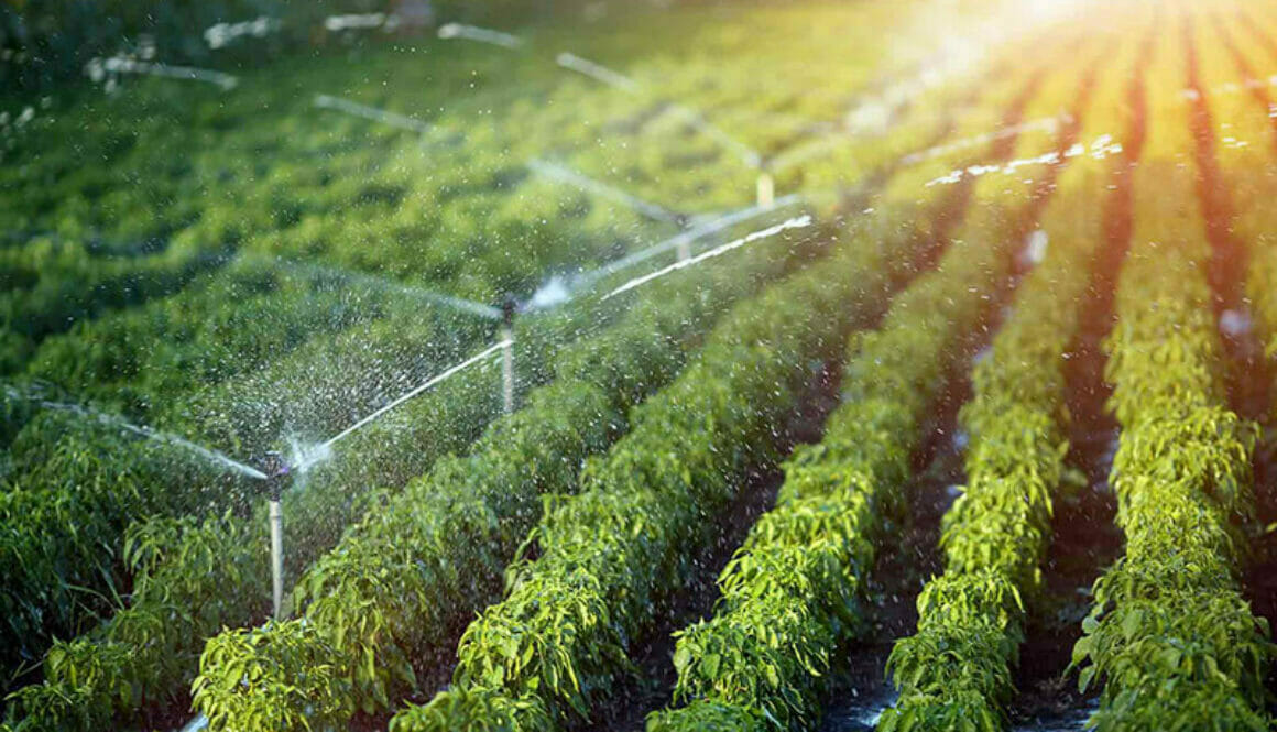 irrigation-system-cost-per-zone